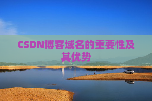 CSDN博客域名的重要性及其优势
